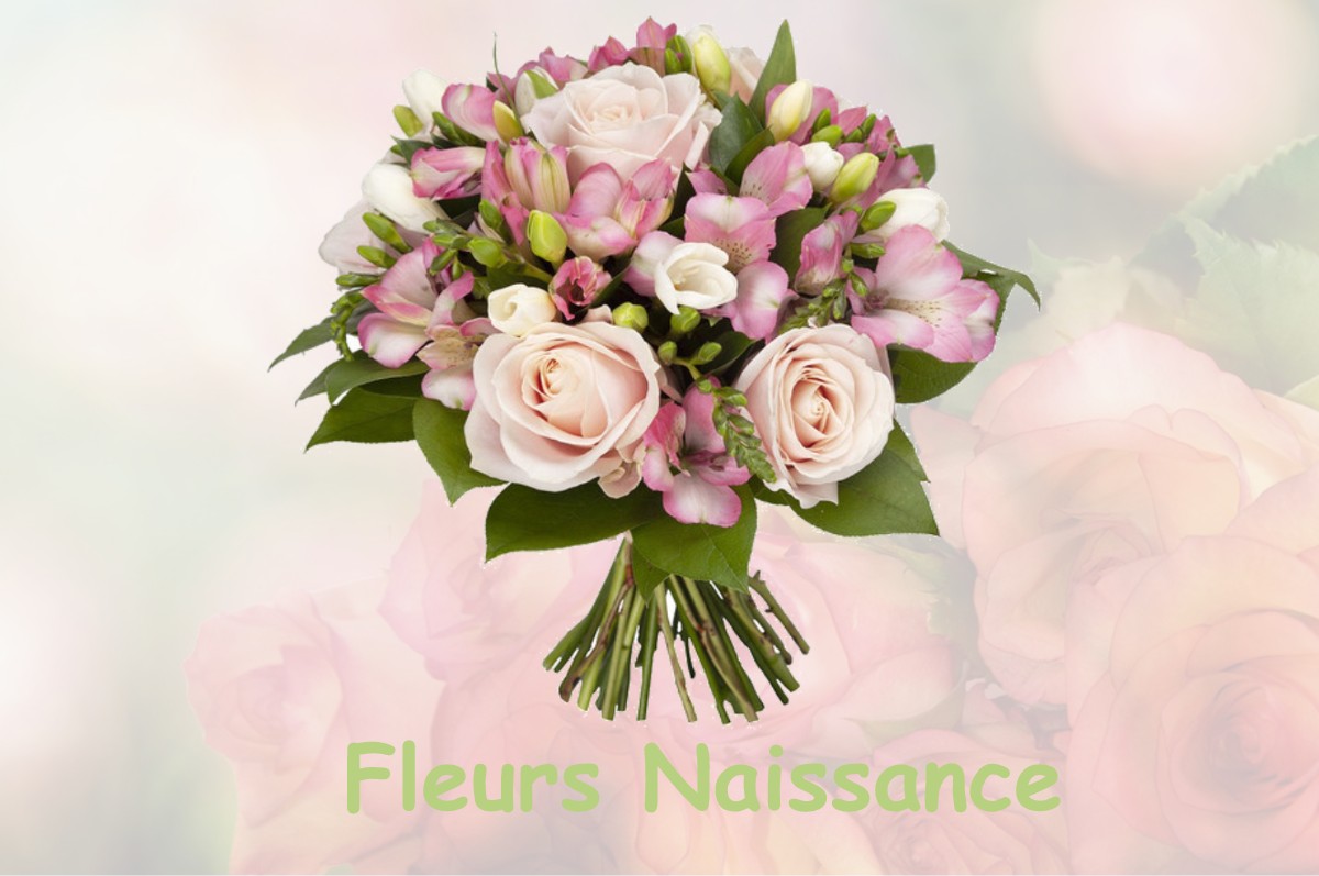 fleurs naissance VILLENEUVE-LOUBET