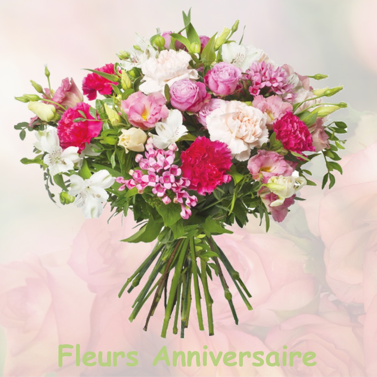 fleurs anniversaire VILLENEUVE-LOUBET