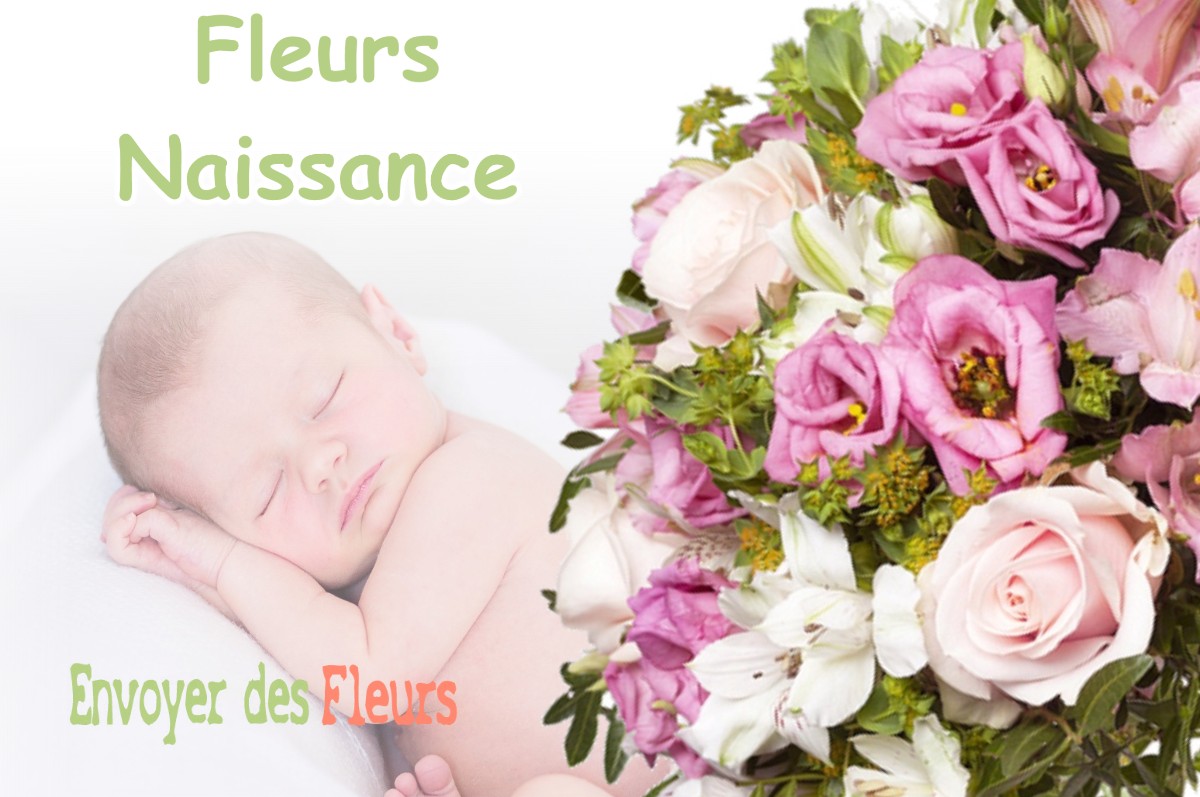 lIVRAISON FLEURS NAISSANCE à VILLENEUVE-LOUBET